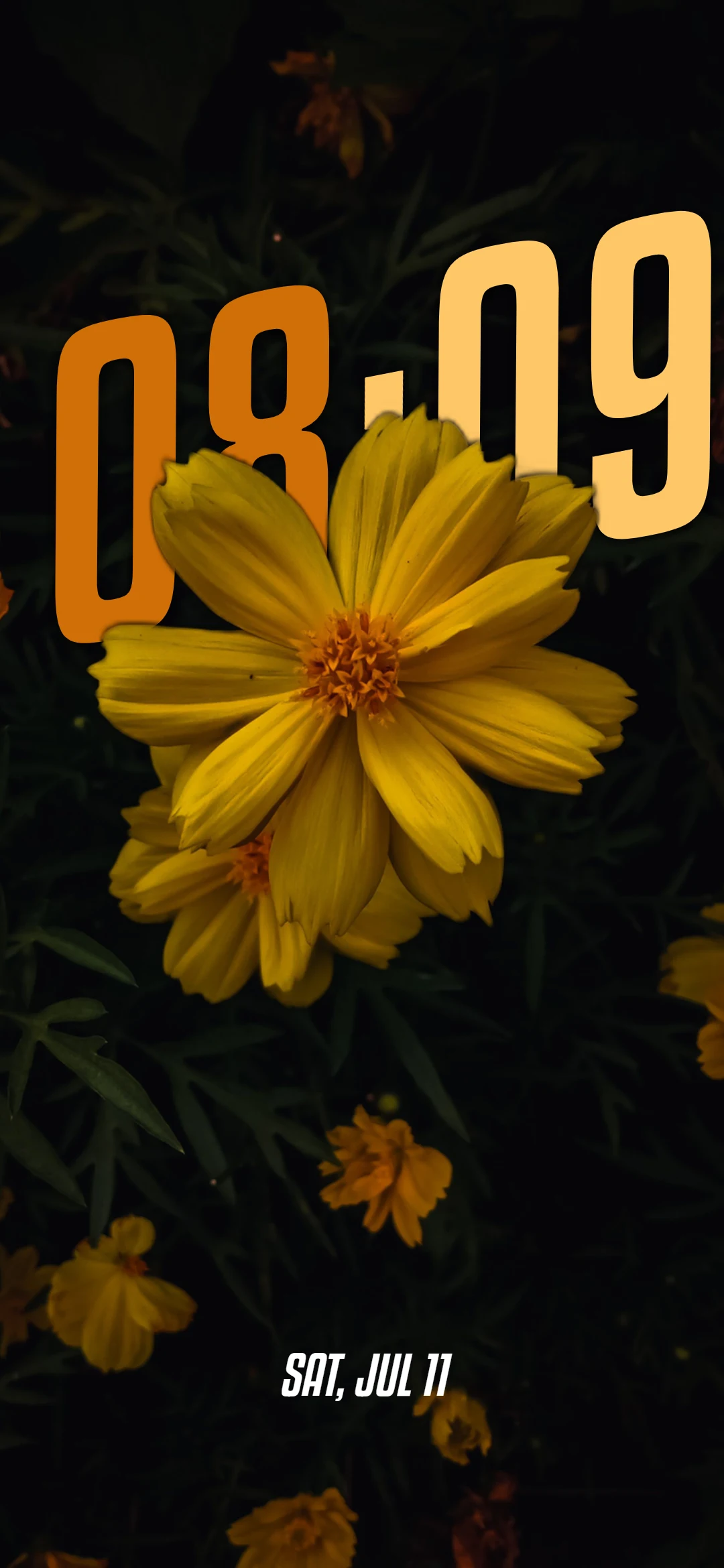 Wallpaper 8bc7adf4